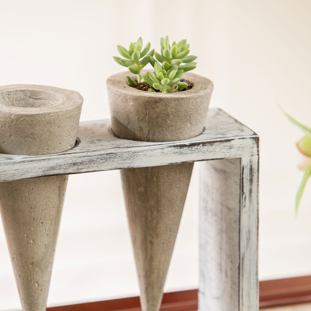 Trio Succulent Cones Set of 4 By Garden Age Supply | Sculptures | Modishstore - 2