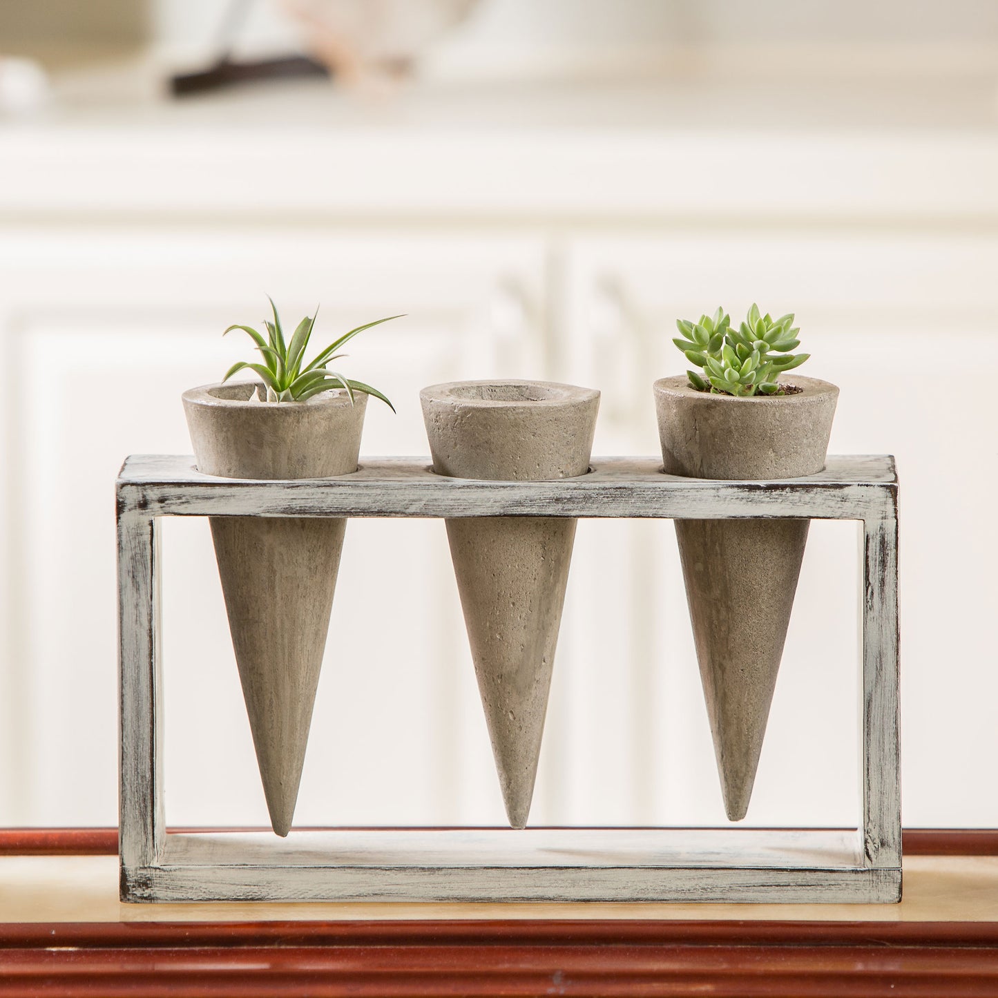 Trio Succulent Cones Set of 4 By Garden Age Supply