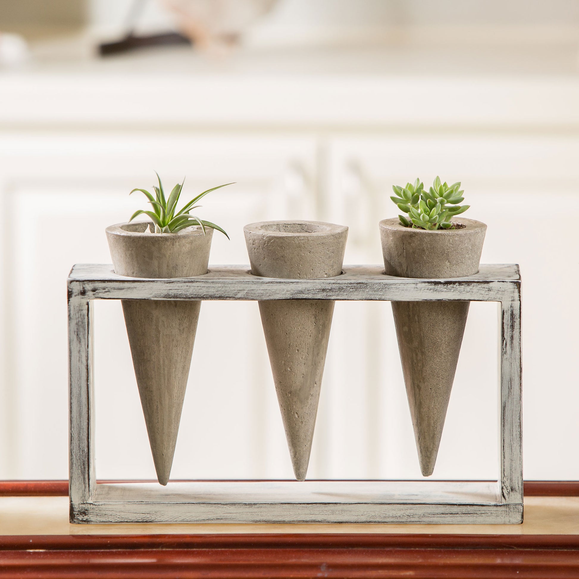 Trio Succulent Cones Set of 4 By Garden Age Supply | Sculptures | Modishstore - 1