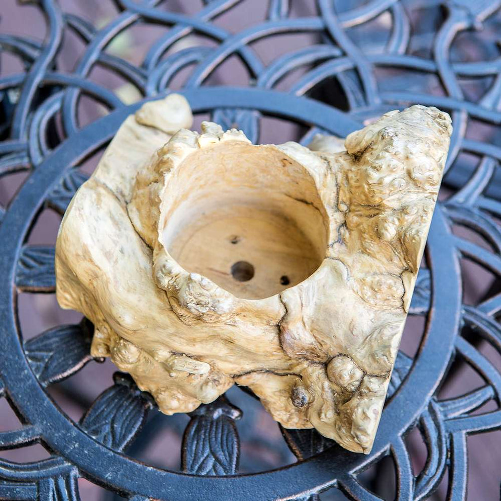 Coffee Root Succulent Pot Set of 12 By Garden Age Supply | Sculptures | Modishstore - 2