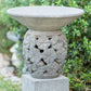 Mailoboro Water Planter/Pot By Garden Age Supply