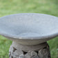 Mailoboro Water Planter/Pot By Garden Age Supply