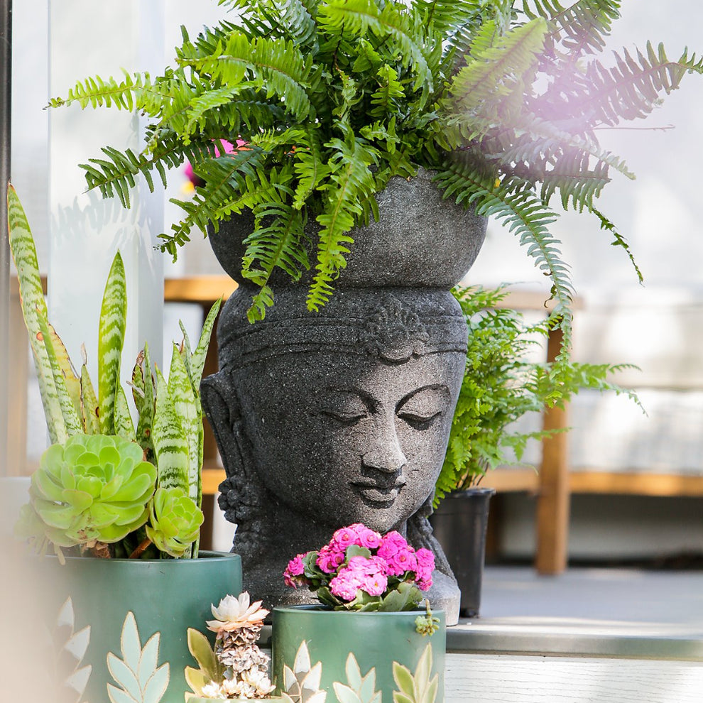 Buddha Head Planter By Garden Age Supply | Planters, Troughs & Cachepots | Modishstore - 4