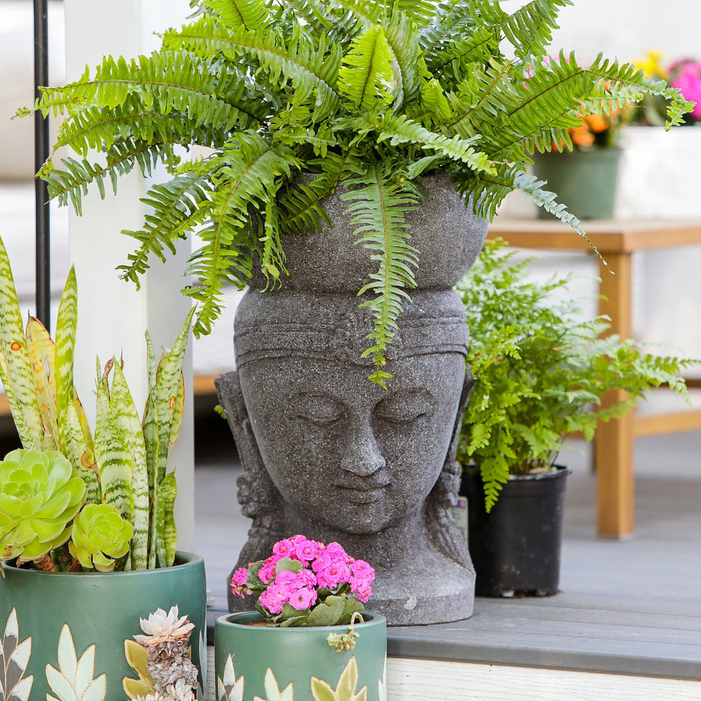 Buddha Head Planter By Garden Age Supply | Planters, Troughs & Cachepots | Modishstore - 1