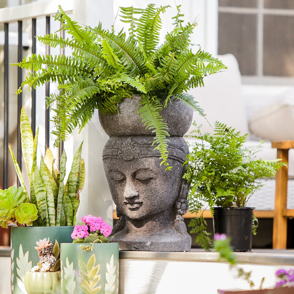 Buddha Head Planter By Garden Age Supply | Planters, Troughs & Cachepots | Modishstore - 3