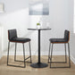 Mason Mara 26" Fixed-Height Counter Stool - Set of 2 By LumiSource - B26-MASONPU-MARA1 BKWLBK2 | Counter Stools | Modishstore