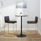 Mason Mara 26" Fixed-Height Counter Stool - Set of 2 By LumiSource - B26-MASONPU-MARA1 AUWLBK2 | Counter Stools | Modishstore - 2