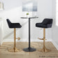 Daniella Adjustable Barstool - Set of 2 By LumiSource - BS-DNLAV-RT2 AUBK2 | Bar Stools | Modishstore - 4
