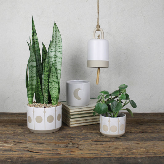 Cielo Bell, Ceramic Set Of 4 By HomArt | Ornaments | Modishstore