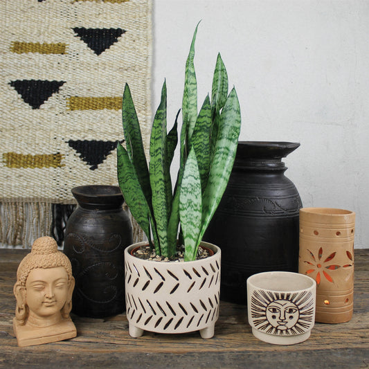 Luther Cachepot, Stoneware - Large Set Of 4 By HomArt | Planters, Troughs & Cachepots | Modishstore