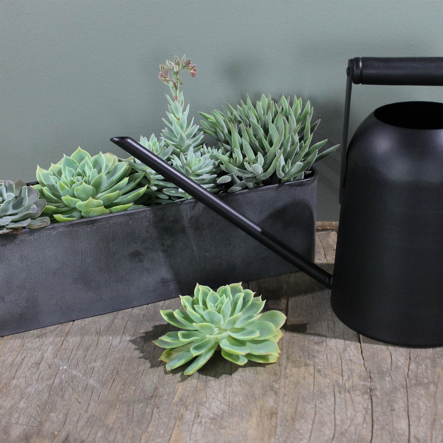 Vinca Galvanized Tray Planter - Small Set Of 4 By HomArt | Decorative Trays & Dishes | Modishstore