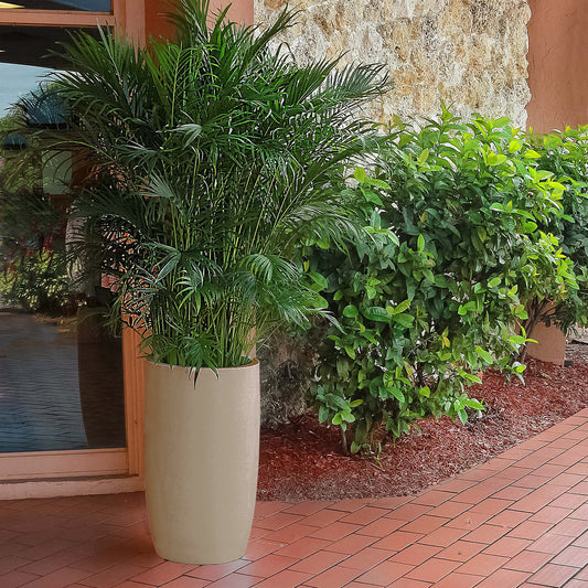 Fiberglass: Barrel 25.5"H Planter, Beige By Gold Leaf | Planters, Troughs & Cachepots | Modishstore - 1