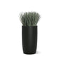 Grass: Cortada Grass in Barrel Planter SM, Black Satin By Gold Leaf | Planters, Troughs & Cachepots | Modishstore - 1