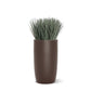 Grass: Cortada Grass in Barrel Planter SM, Brown DK Satin By Gold Leaf | Planters, Troughs & Cachepots | Modishstore - 1