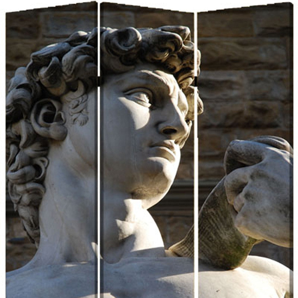 Multi Color Wood Canvas Rome Screen By Homeroots | Room Dividers | Modishstore - 4