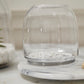 Oliver Terrarium Set of 4 By Accent Decor | Planters, Troughs & Cachepots | Modishstore - 7