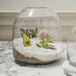 Oliver Terrarium Set of 4 By Accent Decor | Planters, Troughs & Cachepots | Modishstore - 10