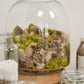 Oliver Terrarium Set of 4 By Accent Decor | Planters, Troughs & Cachepots | Modishstore - 11