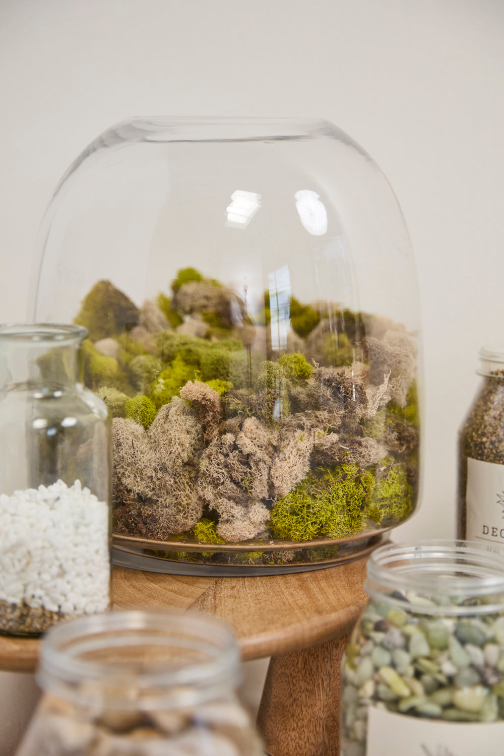Oliver Terrarium Set of 4 By Accent Decor | Planters, Troughs & Cachepots | Modishstore - 11