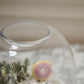 Oliver Terrarium Set of 4 By Accent Decor | Planters, Troughs & Cachepots | Modishstore - 14