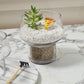 Fiction Terrarium Set of 4 By Accent Decor | Planters, Troughs & Cachepots | Modishstore - 9