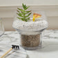 Fiction Terrarium Set of 4 By Accent Decor | Planters, Troughs & Cachepots | Modishstore - 10