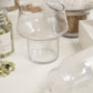Fiction Terrarium Set of 4 By Accent Decor | Planters, Troughs & Cachepots | Modishstore - 7