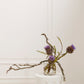 Clear Cylinder Vase Set of 8 By Accent Decor | Vases | Modishstore - 12