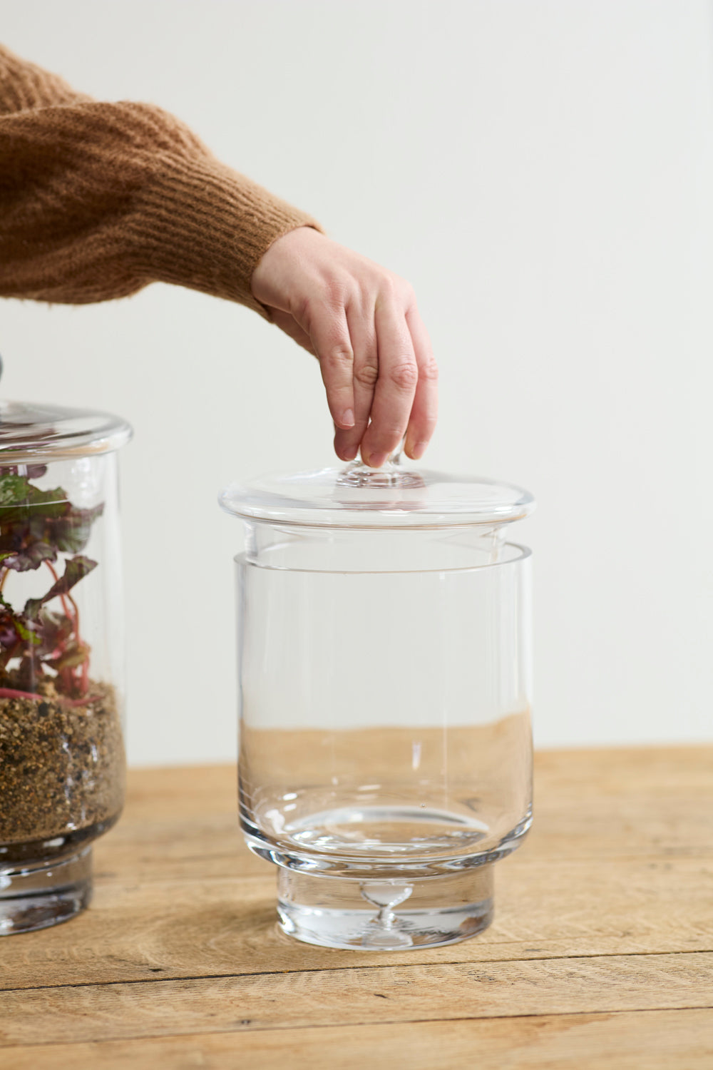 Asteridge Terrarium Set of 2 By Accent Decor | Planters, Troughs & Cachepots | Modishstore - 7