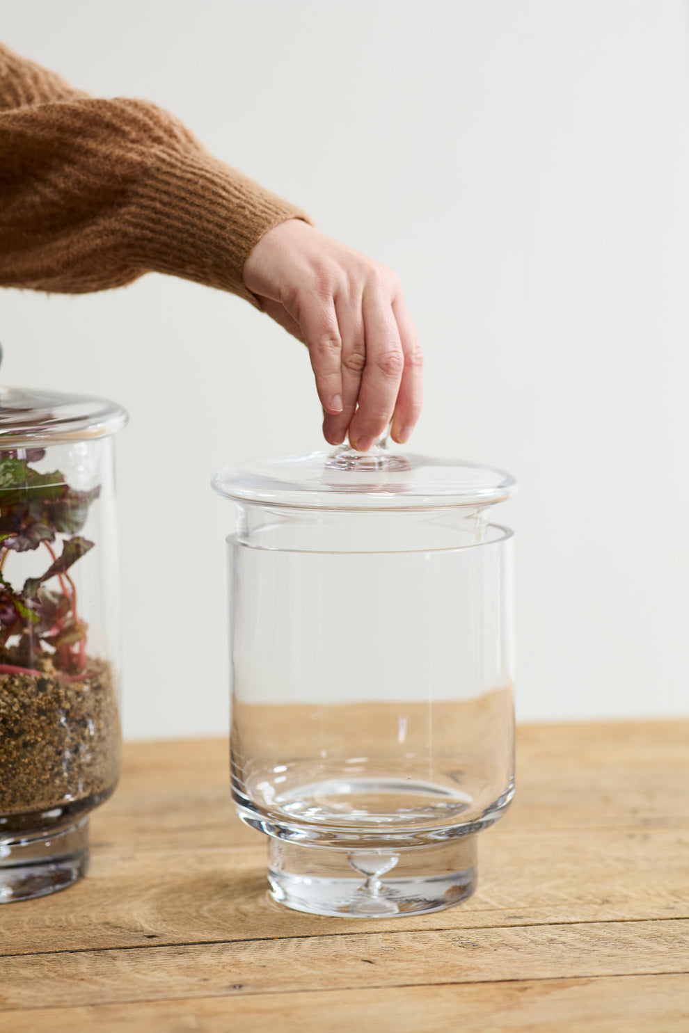 Asteridge Terrarium Set of 2 By Accent Decor | Planters, Troughs & Cachepots | Modishstore - 7