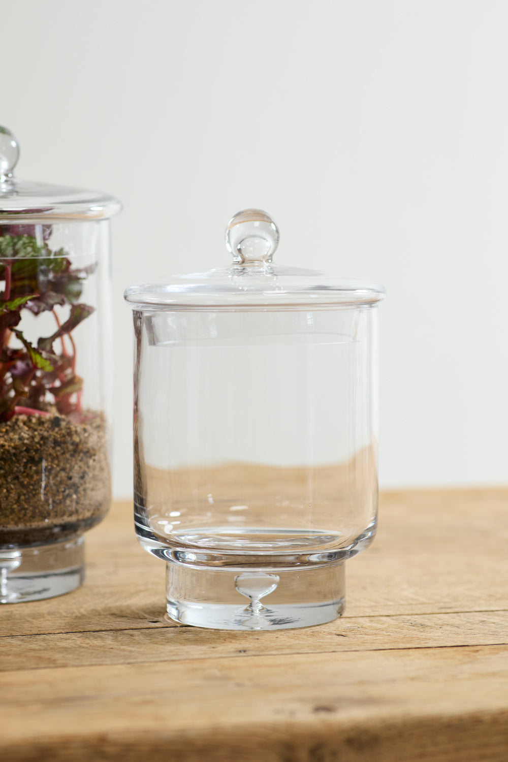 Asteridge Terrarium Set of 2 By Accent Decor | Planters, Troughs & Cachepots | Modishstore - 6