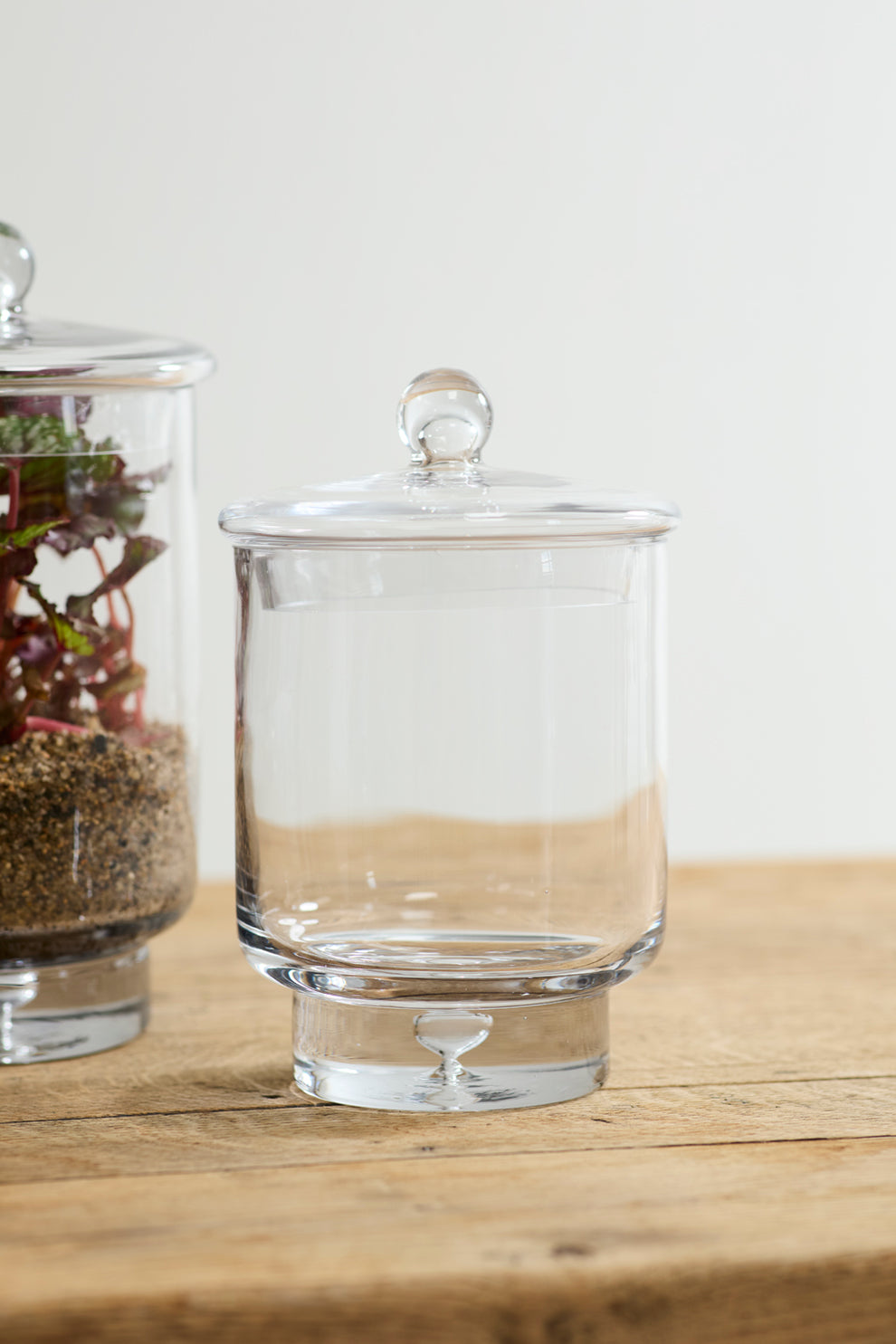 Asteridge Terrarium Set of 2 By Accent Decor | Planters, Troughs & Cachepots | Modishstore - 6