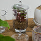 Asteridge Terrarium Set of 2 By Accent Decor | Planters, Troughs & Cachepots | Modishstore - 9