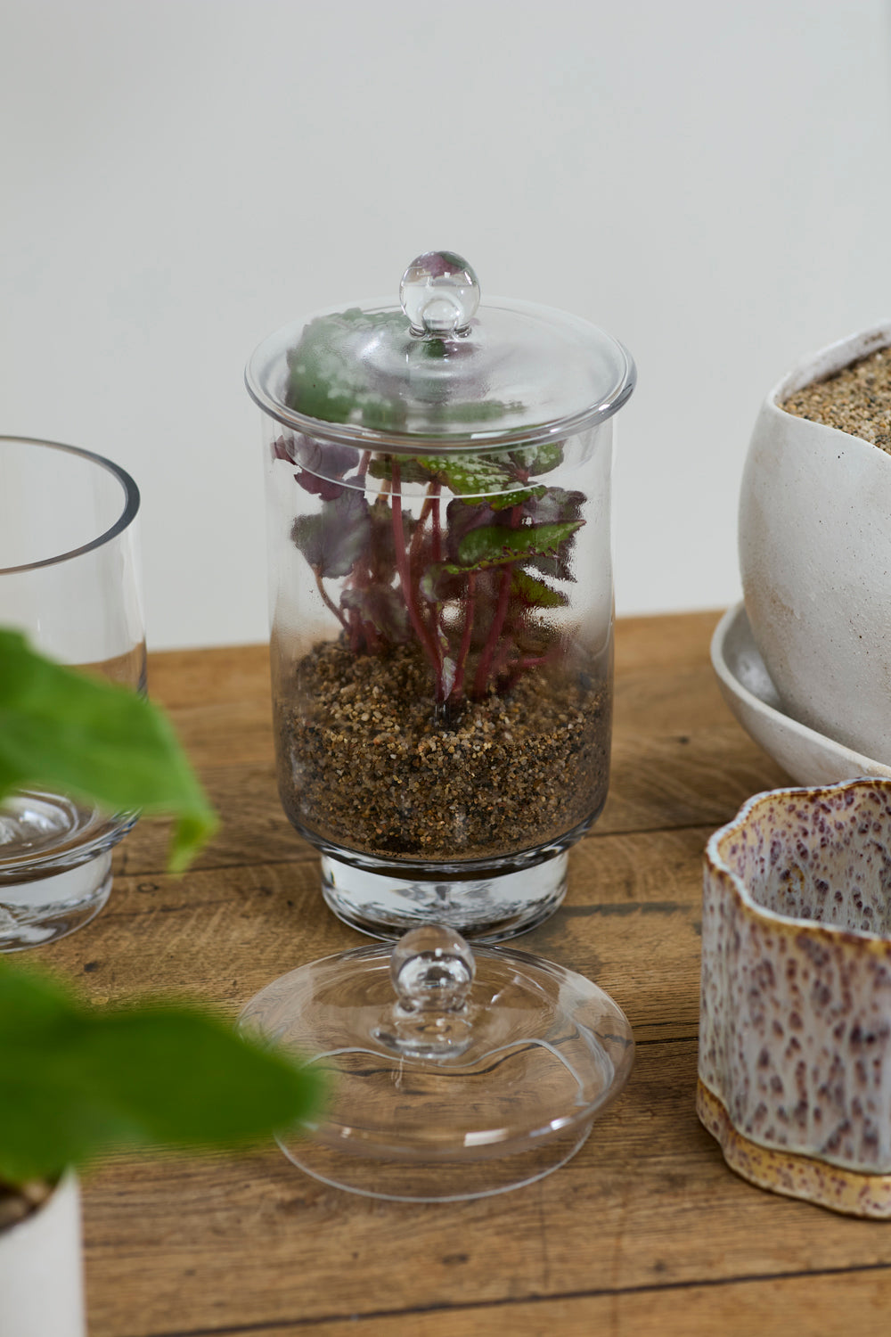 Asteridge Terrarium Set of 2 By Accent Decor | Planters, Troughs & Cachepots | Modishstore - 9
