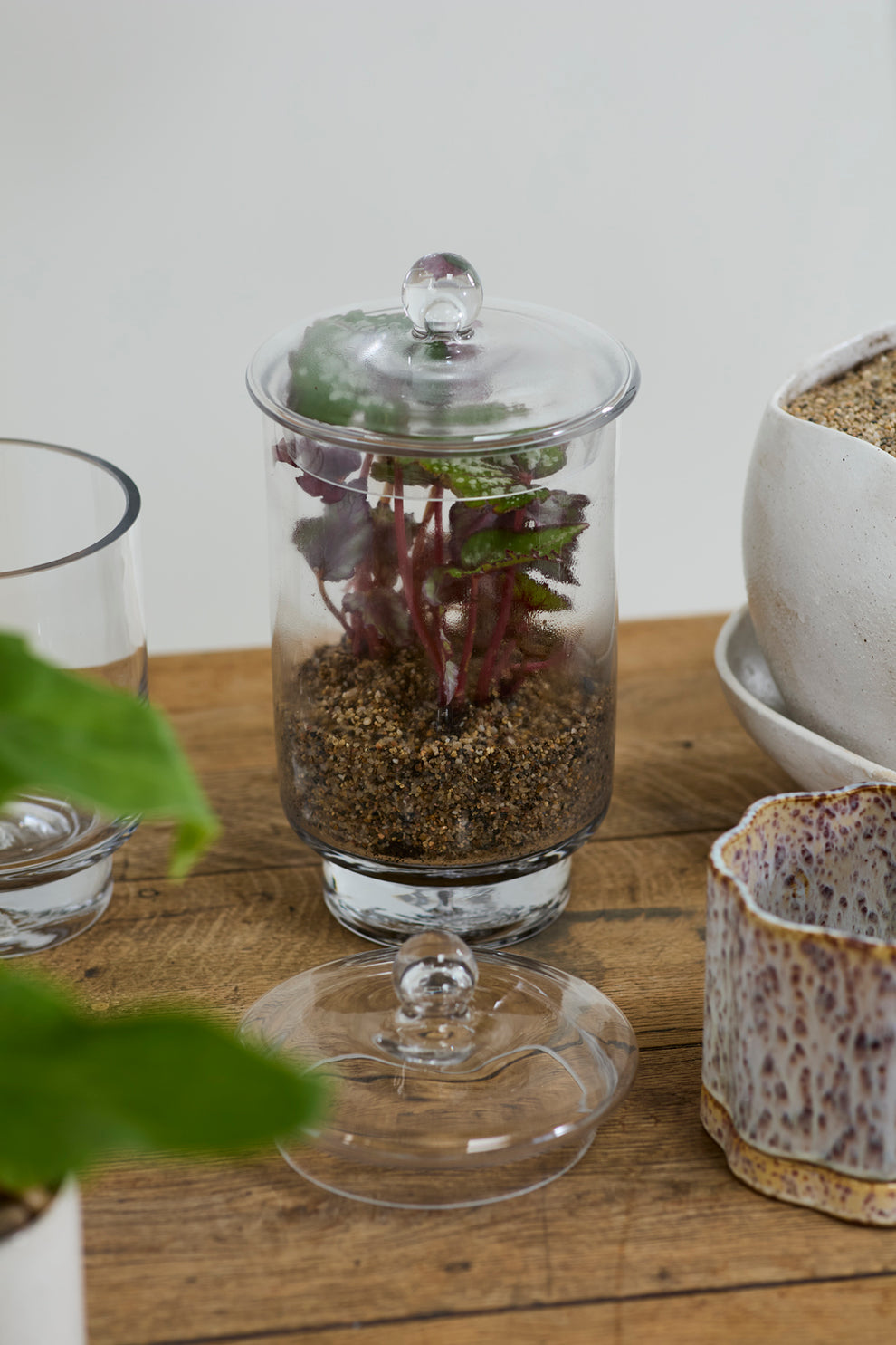 Asteridge Terrarium Set of 2 By Accent Decor | Planters, Troughs & Cachepots | Modishstore - 9
