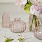Livi Budvase - Set of 12 By Accent Decor | Vases | Modishstore - 7