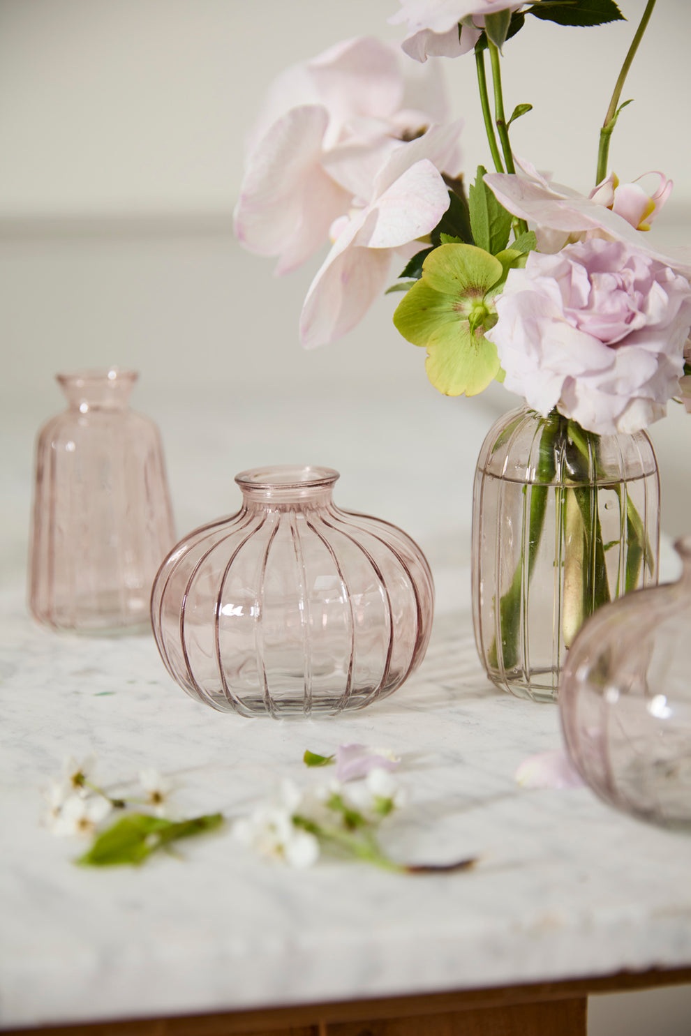 Livi Budvase - Set of 12 By Accent Decor | Vases | Modishstore - 7
