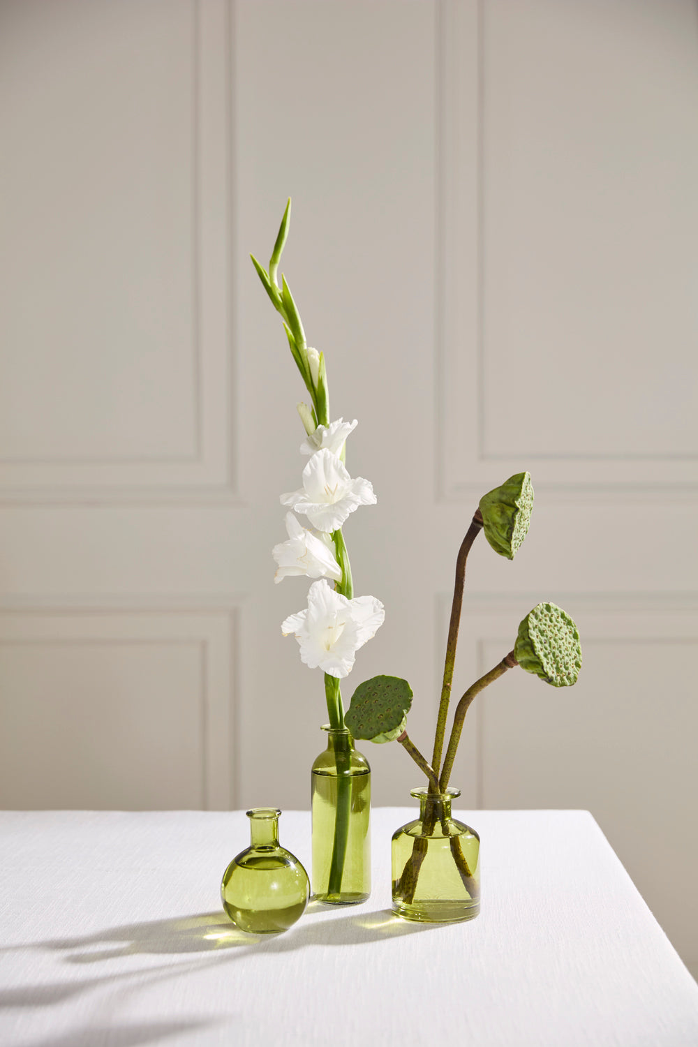 Carlotta Budvase - Set of 12 By Accent Decor | Vases | Modishstore - 10