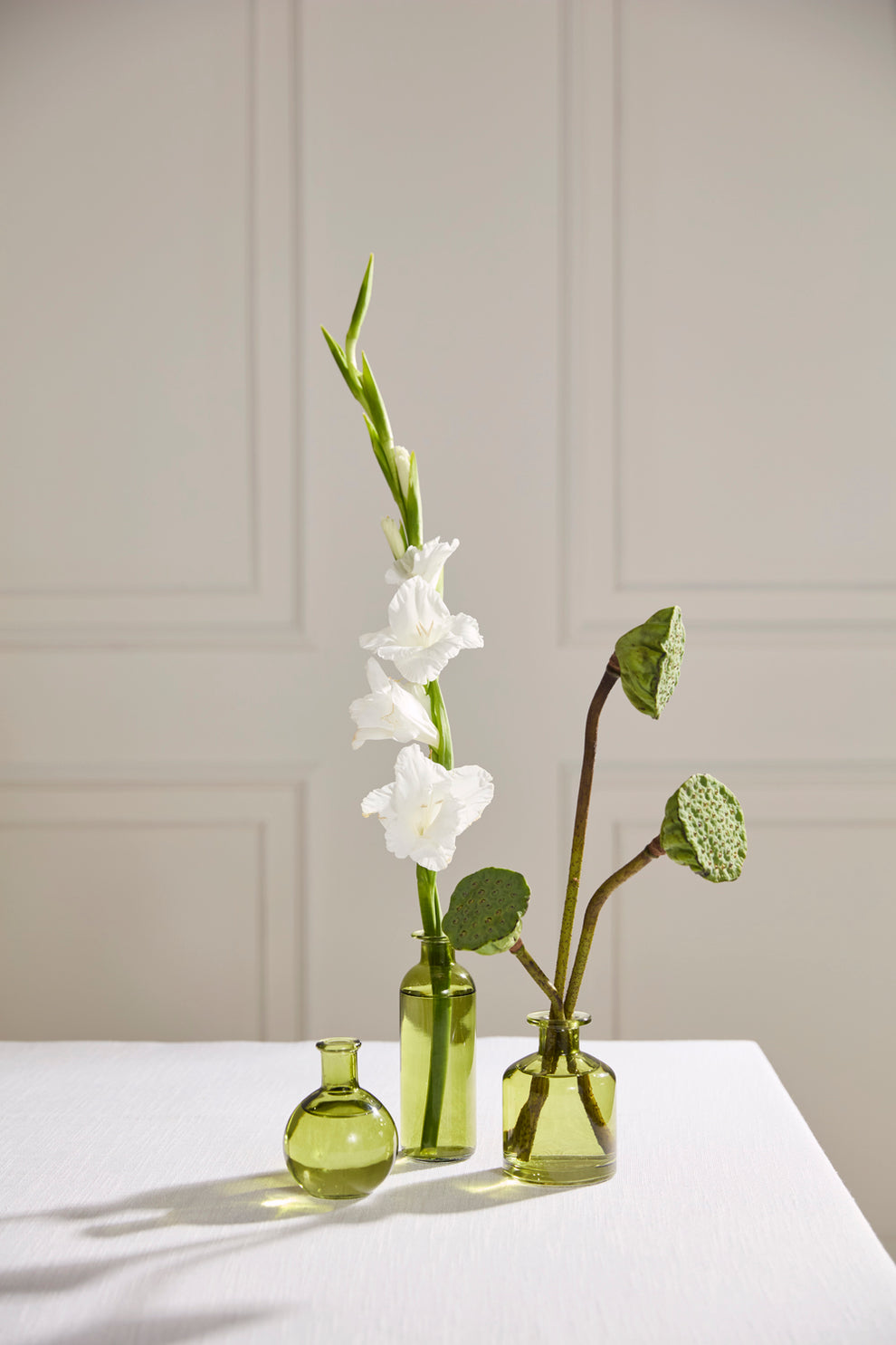 Carlotta Budvase - Set of 12 By Accent Decor | Vases | Modishstore - 10
