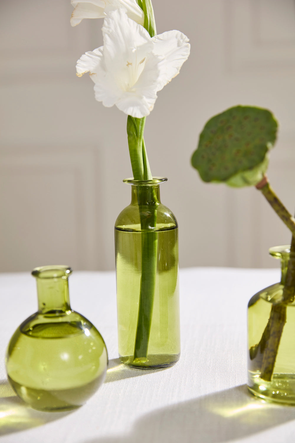 Carlotta Budvase - Set of 12 By Accent Decor | Vases | Modishstore - 12
