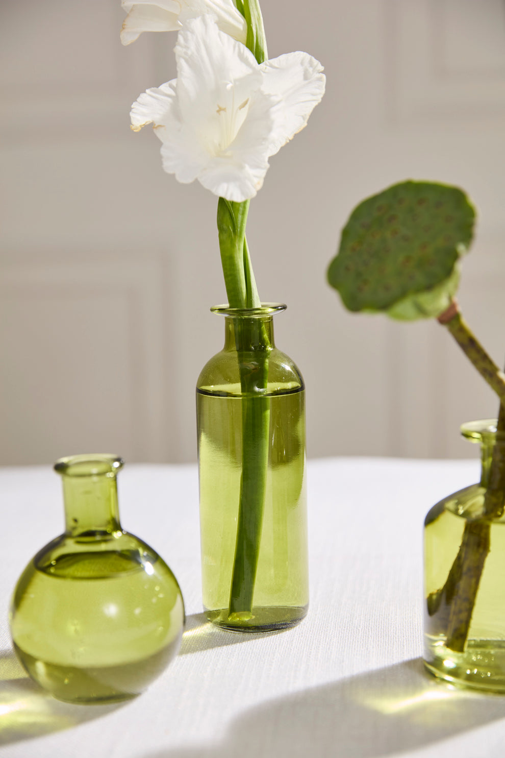 Carlotta Budvase - Set of 12 By Accent Decor | Vases | Modishstore - 12