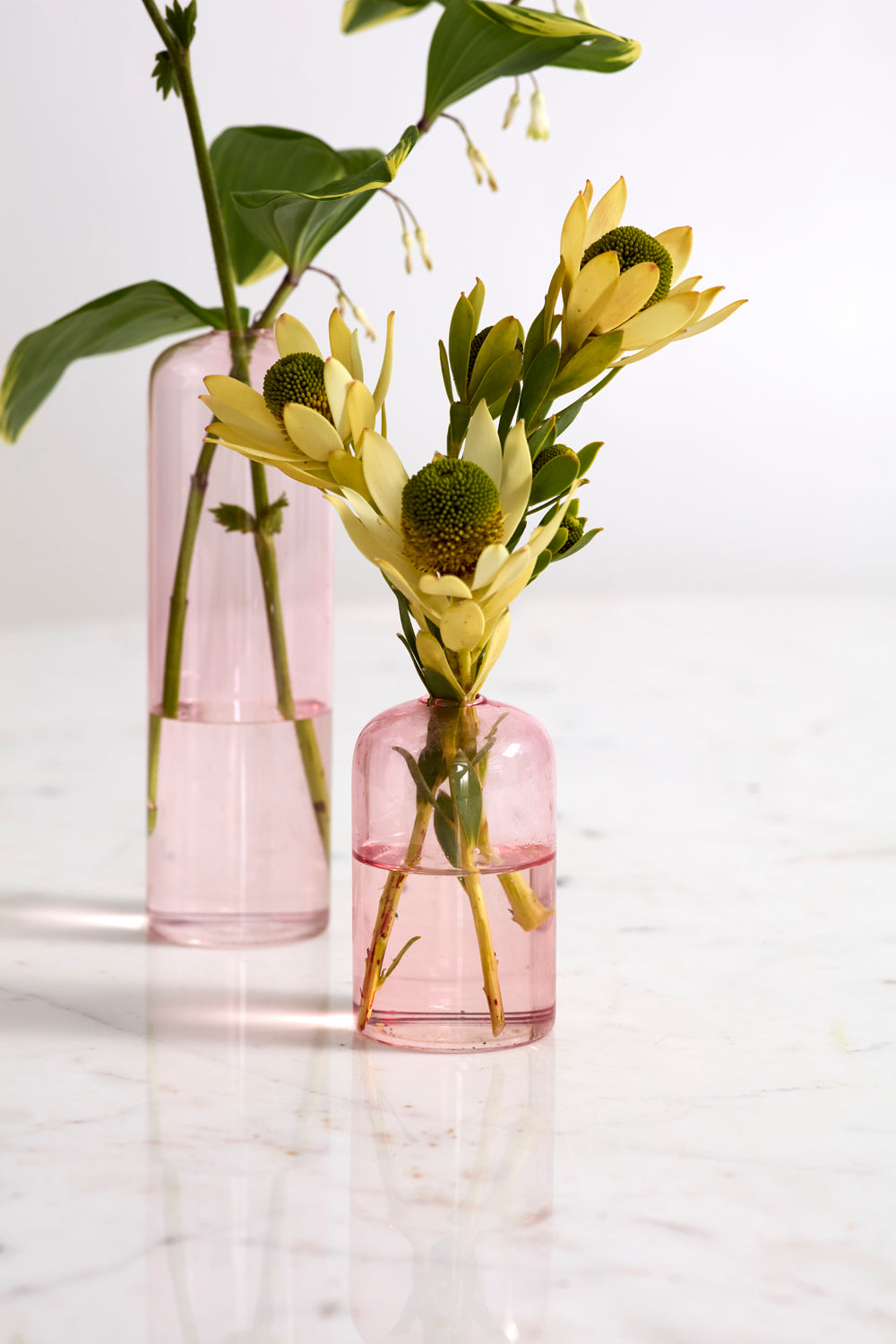 Highball Budvase Set of 8 By Accent Decor | Vases | Modishstore - 6