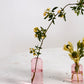 Highball Budvase Set of 8 By Accent Decor | Vases | Modishstore - 10