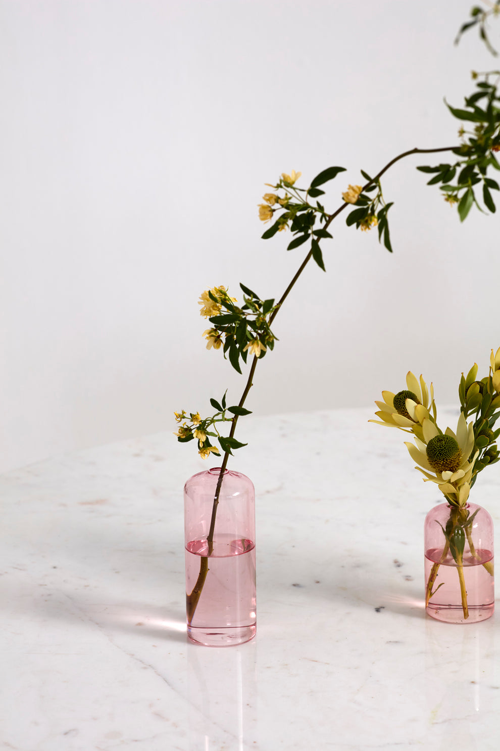 Highball Budvase Set of 8 By Accent Decor | Vases | Modishstore - 10