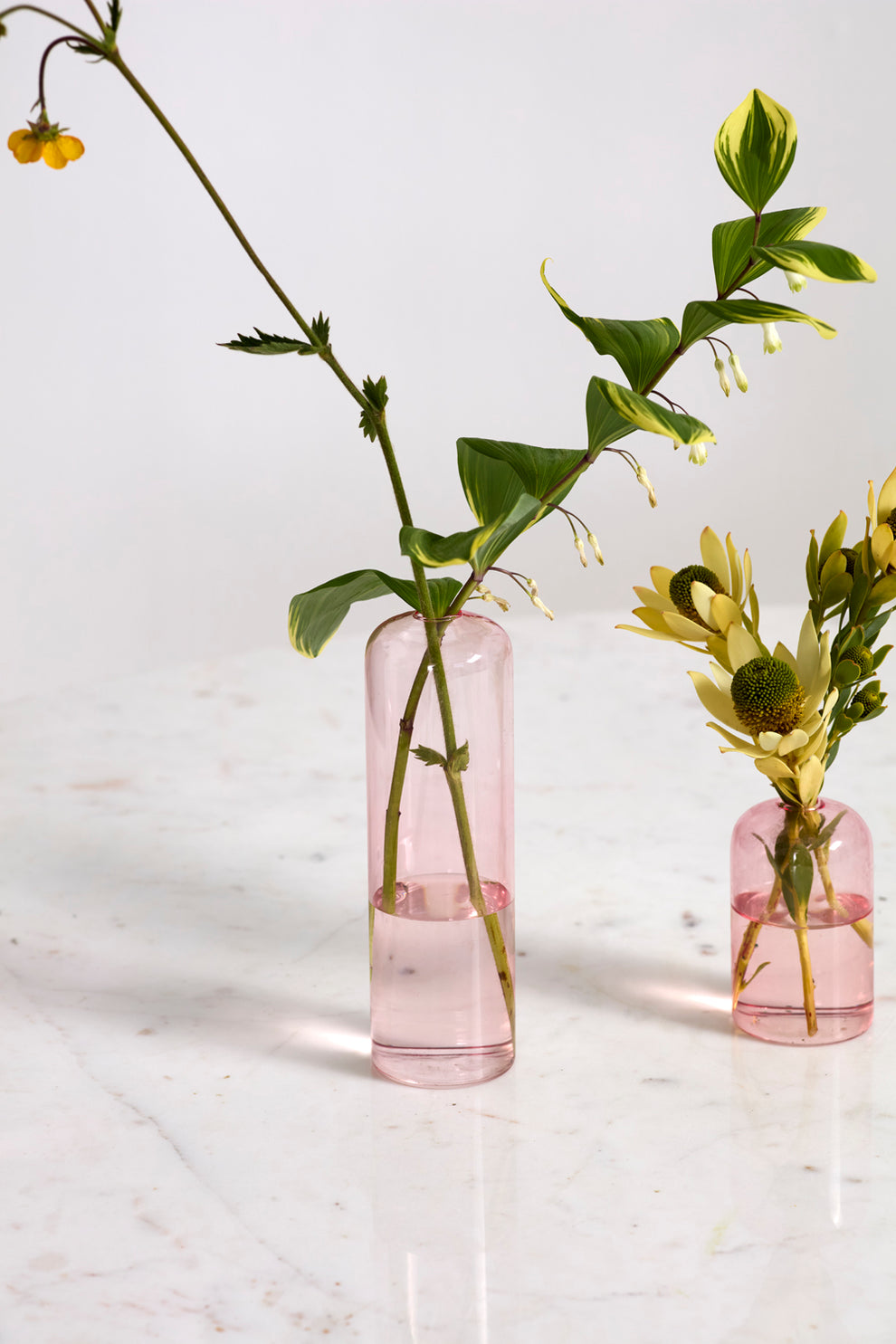 Highball Budvase Set of 8 By Accent Decor | Vases | Modishstore - 14
