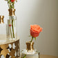 Jimmy Budvase Set of 4 By Accent Decor | Vases | Modishstore - 7