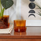 Glass Pot with Saucer Set of 4 By Accent Decor | Planters, Troughs & Cachepots | Modishstore - 5