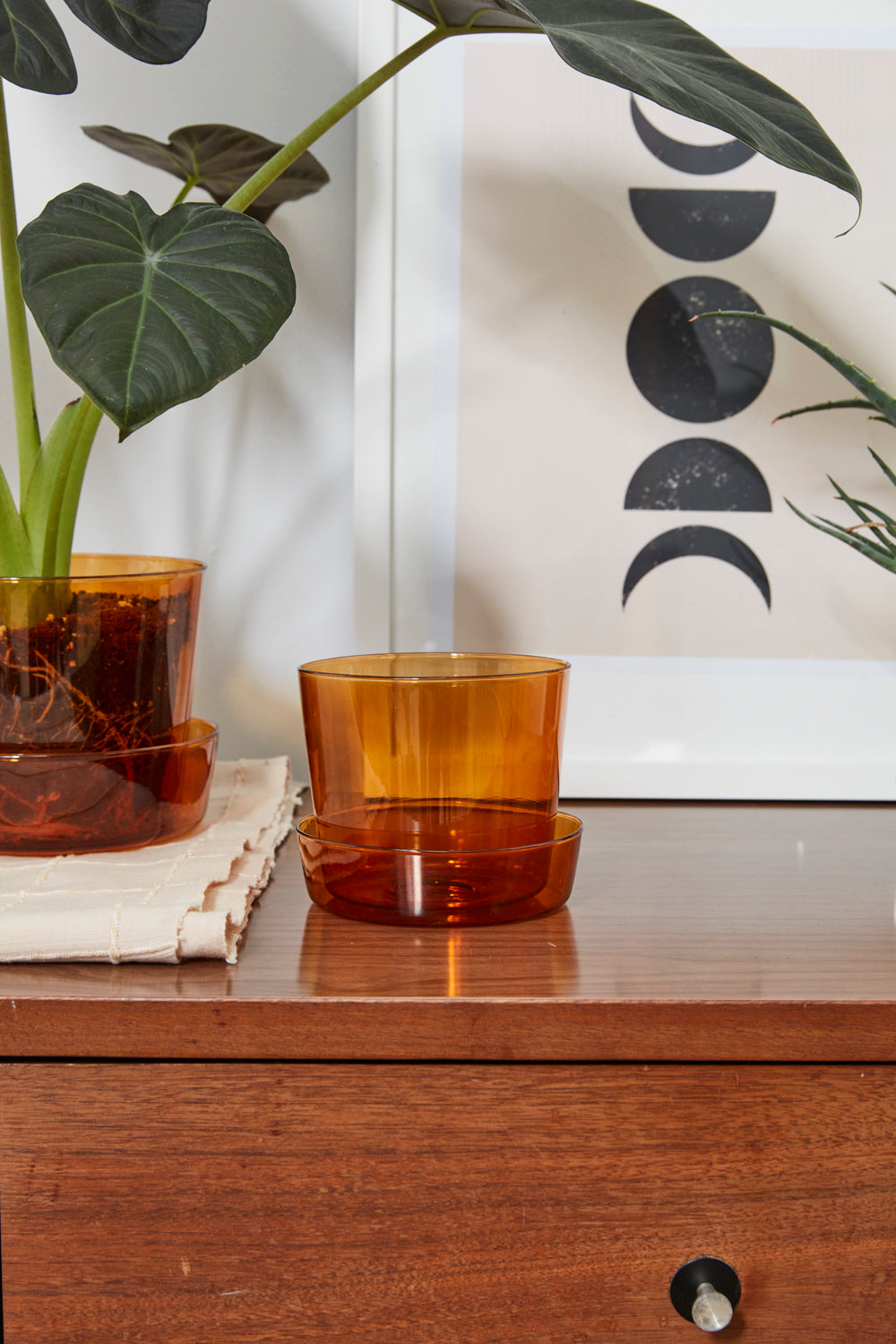 Glass Pot with Saucer Set of 4 By Accent Decor | Planters, Troughs & Cachepots | Modishstore - 5