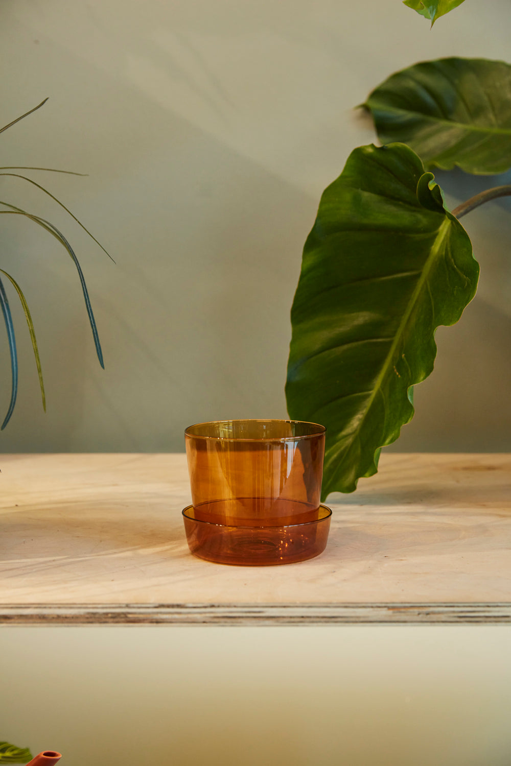 Glass Pot with Saucer Set of 4 By Accent Decor | Planters, Troughs & Cachepots | Modishstore - 6