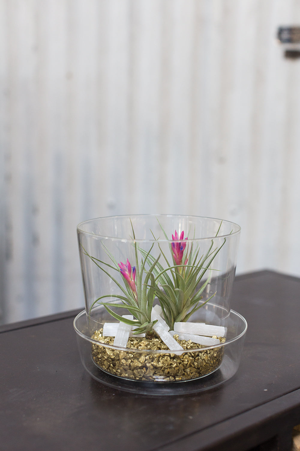 Glass Pot with Saucer Set of 4 By Accent Decor | Planters, Troughs & Cachepots | Modishstore - 12